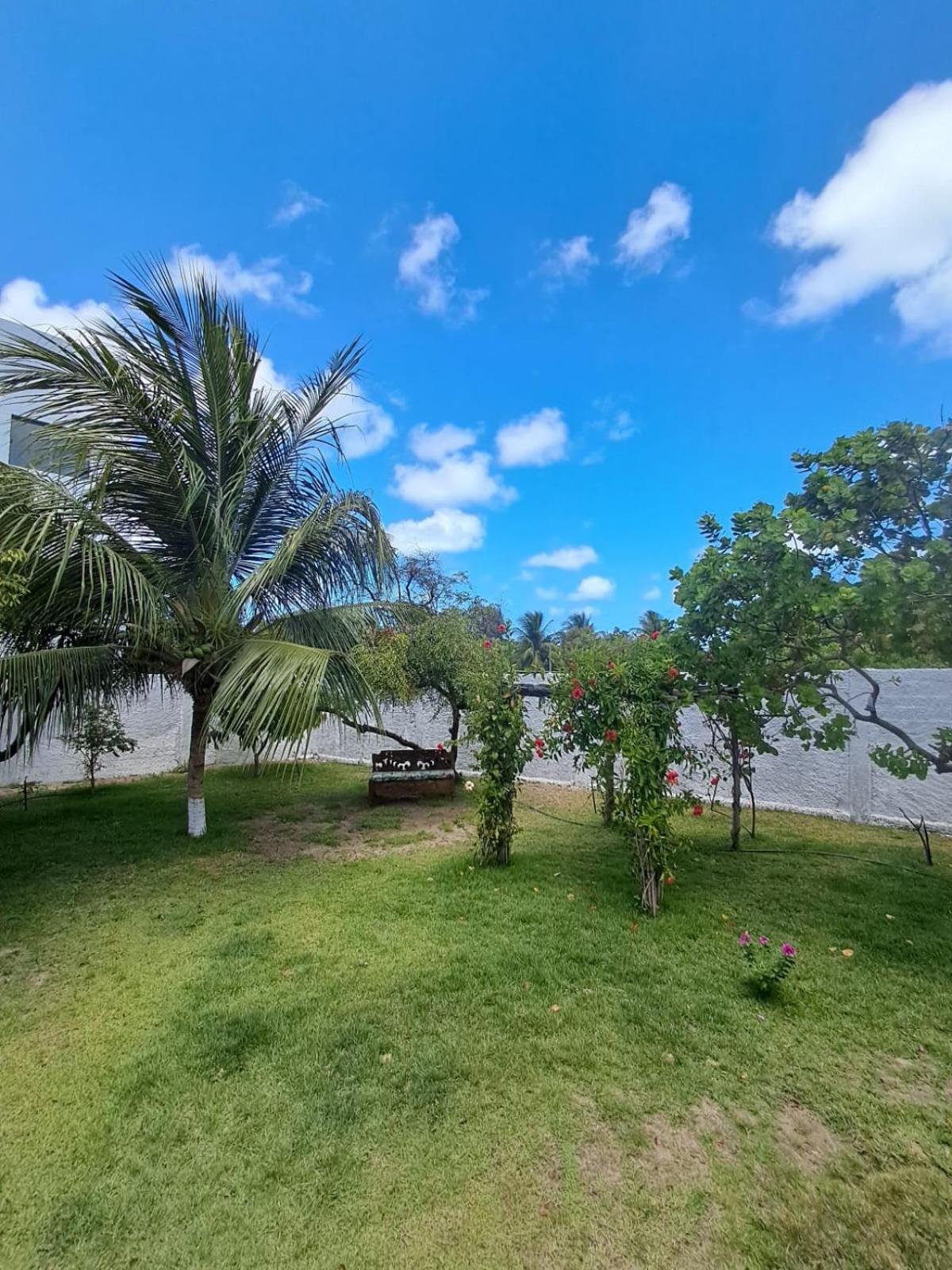 Pousada Intimista Odoya Beach - Suite Quadrupla Conde  Exterior photo